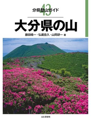 cover image of 分県登山ガイド43　大分県の山